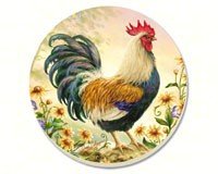 Country Charm Coasters Set of 4