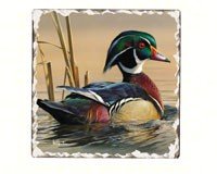 Water Birds Tumbled Tile Coasters Set of 4