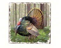 Game BirdsTurkey Tumbled Tile Coasters Set of 4