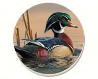 Water Birds Wood Duck Coasters Set of 4