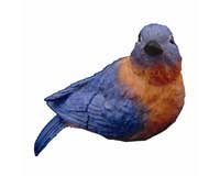 Eastern Blue Bird