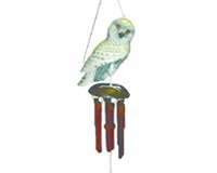 Snowy Owl