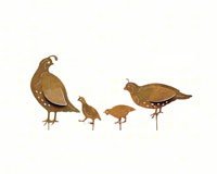 CA Quail Family Set