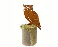 Screech Owl Large