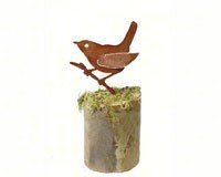 Wren on Branch  1