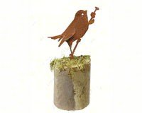 Bird on Willow