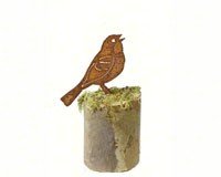 Vesper Sparrow