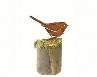 Bush tit