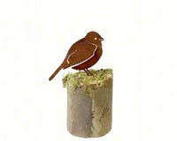 Field Sparrow