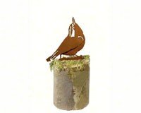 Nuthatch
