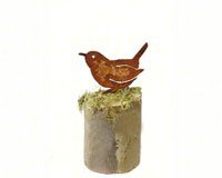 Carolina Wren