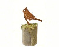 Titmouse 1