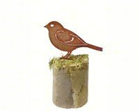 Sparrow
