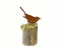Brown Thrasher 1