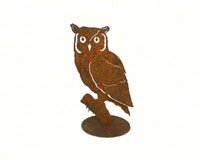 Screech Owl on Branch