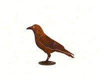 Crow on Base