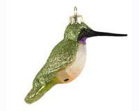 Black Chinned Hummingbird