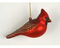 Northern Cardinal