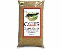 White Millet 10 lbs. + Frt