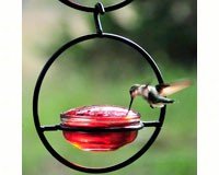 Hummingbird Feeder â€“ Sphere â€“  Multiple Uses