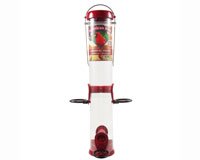 American Bird Cardinal Feeder Red 15 inch