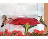 Window Hummingbird Feeder2