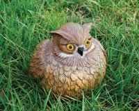 Portly Owl Medium