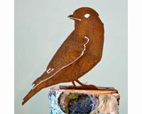 Bluebird Bird Silhouette