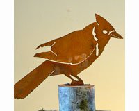 Blue Jay Bird Silhouette
