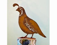 CA Quail Male Bird Silhouette