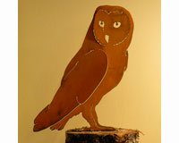 Barn Owl Bird Silhouette