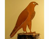 Peregrine Falcon Bird Silhouette
