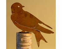 Purple Martin 1