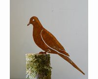 Mourning Dove (steel)