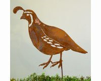 CA Quail Male Stake Bird Silhouette