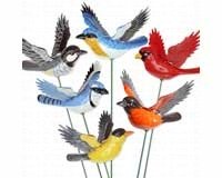 Audubon Birds Windy Wings Stakes Asst