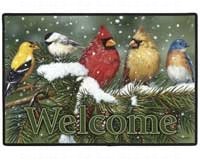 Backyard Birds Doormat