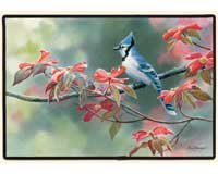 Blue Jay Doormat