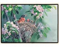 Rise & Shine Robins Doormat