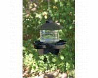 Bird Bath Accessories â€“ First Nature Bird Waterer- Clear Lantern Style