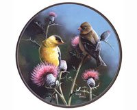 Goldfinches Suncatcher
