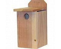 Bluebird House2