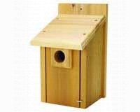 Bluebird House3