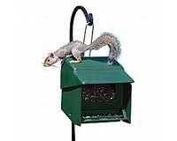Super Stop-A-Squirrel