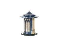 Garden Arch Blue Stardust
