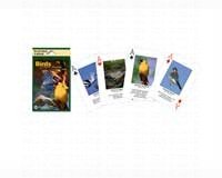 Playing Cards Birds North American