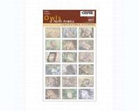 Sticker Sheet Owls NorthAmerica