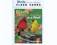 Flash Cards Birds North American
