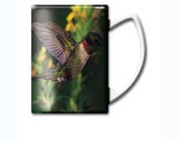 Mug 14 oz Ruby Throated HumBird