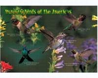 Kids Puzzle Hummingbirds 40 piece Puzzle